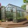 Vitavia Serre de jardin en polycarbonate Noir 11.5m²