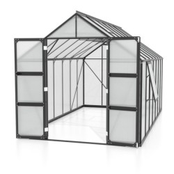 Vitavia Serre de jardin en polycarbonate Noir 11.5m²
