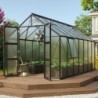 Vitavia Serre de jardin en polycarbonate Noir 11.5m²
