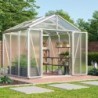 Vitavia Serre de jardin en polycarbonate Gris 6.2m²