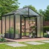 Vitavia Serre de jardin en polycarbonate Noir 6.2m²