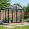 Vitavia Serre de jardin en polycarbonate Noir 6.2m²
