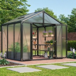 Vitavia Serre de jardin en polycarbonate Noir 6.2m²