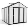 Vitavia Serre de jardin en polycarbonate Noir 8.1m²