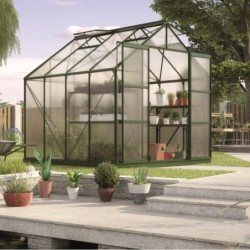 Vitavia Serre de jardin en polycarbonate Vert 6.7m²
