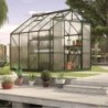 Vitavia Serre de jardin en polycarbonate Vert 6.7m²
