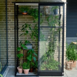 Halls Serre de jardin en verre Noir 0.8m²