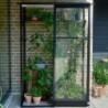 Halls Serre de jardin en verre Noir 0.8m²