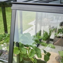 Halls Serre de jardin en verre Noir 0.8m²