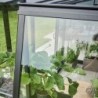 Halls Serre de jardin en verre Noir 0.8m²