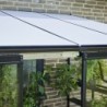 Halls Serre de jardin en verre Noir 0.8m²