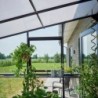 Halls Serre de jardin en verre Noir 14.7m²