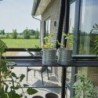Halls Serre de jardin en verre Noir 14.7m²