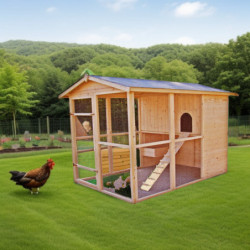 Poulailler en bois 16mm FSC non-teinté avec toit bitumé pour 6 à 10 poules