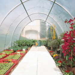 Serre tunnel maraîchère semi professionnelle 40,55m² avec 2 portes - RICHEL