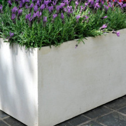 Jardinière en fibre de terre 80x40xH.40cm blanc - MegaCollections