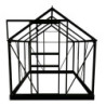 Serre de jardin 3,8 m² verte en polycarbonate Popular Halls