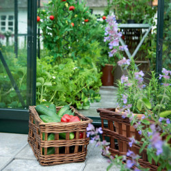 Serre de jardin 3,8 m² verte en polycarbonate Popular Halls