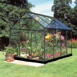 Serre de jardin 5m² verte en verre horticole Popular - Halls