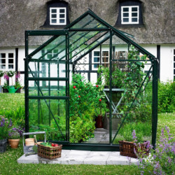 Serre de jardin 5m² verte en verre horticole Popular - Halls