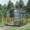 Green Protect Serre de jardin en verre Aluminium et verre trempé Gris 3.5m²