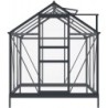 Green Protect Serre de jardin en verre Aluminium et verre trempé Gris 3.5m²