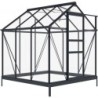 Green Protect Serre de jardin en verre Aluminium et verre trempé Gris 3.5m²