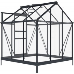Green Protect Serre de jardin en verre Aluminium et verre trempé Gris 3.5m²