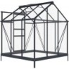 Green Protect Serre de jardin en verre Aluminium et verre trempé Gris 3.5m²