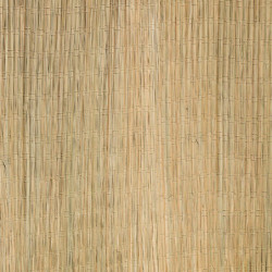 Canisses de carex 1x3m degré d'occultation 100% - NATURE