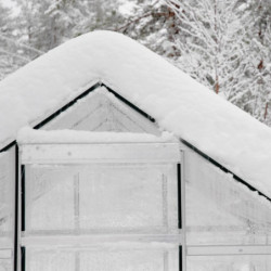 Serre de jardin en alu et polycarbonate 4,6m² Harmony™ Silver – Palram