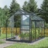 Green Protect Serre de jardin en verre Aluminium et verre trempé Gris 5.68m²