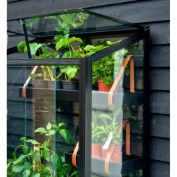 Serre urbaine en verre trempé avec roulettes City Greenhouse - Juliana