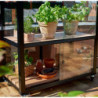 Serre urbaine en verre trempé avec roulettes City Greenhouse - Juliana