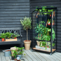 Serre urbaine en verre trempé avec roulettes City Greenhouse - Juliana
