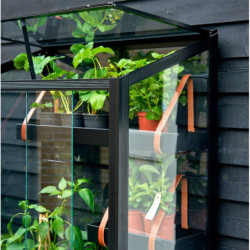 Serre urbaine en verre trempé avec roulettes City Greenhouse - Juliana