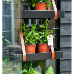 Serre urbaine en verre trempé avec roulettes City Greenhouse - Juliana