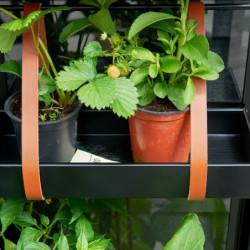 Serre urbaine en verre trempé avec roulettes City Greenhouse - Juliana