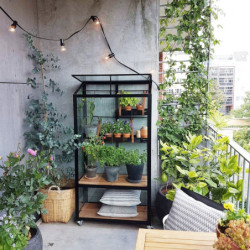 Serre urbaine en verre trempé avec roulettes City Greenhouse - Juliana