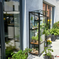 Serre urbaine en verre trempé avec roulettes City Greenhouse - Juliana