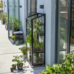 Serre urbaine en verre trempé avec roulettes City Greenhouse - Juliana