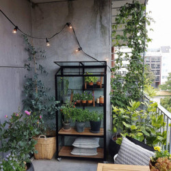 Serre urbaine en verre trempé avec roulettes City Greenhouse - Juliana