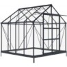 Green Protect Serre de jardin en verre Aluminium et verre trempé Gris 6.05m²