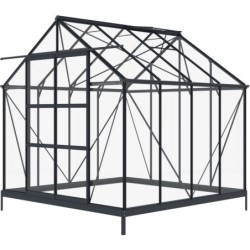 Green Protect Serre de jardin en verre Aluminium et verre trempé Gris 6.05m²