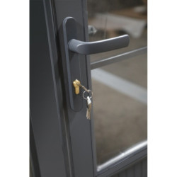 Abri de jardin en bois composite 28mm bois vieilli 14,44m² double porte alu et double vitrage - WoodLife