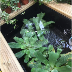 Bassin de jardin hors sol Pond Kit X 225L kit complet avec pompe - Ubbink