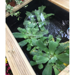 Bassin de jardin hors sol Kit XI 475L kit complet avec pompe - Ubbink