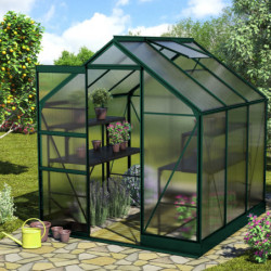 Serre de jardin en alu vert et polycarbonate 6mm - Apollo 3800 - Vitavia