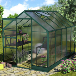 Serre de jardin en alu vert et polycarbonate 4mm - Apollo 6200 - Vitavia