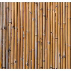 Ecran en bambou naturel 1x1,8m - NATURE